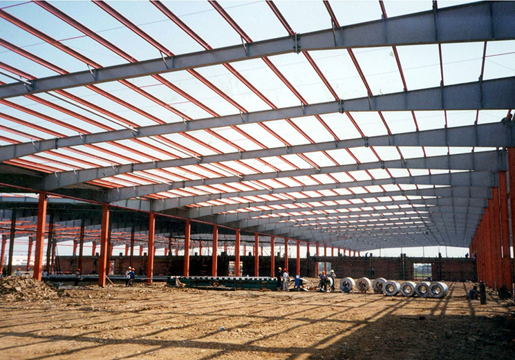 Imagen del esqueleto de una estructura principal